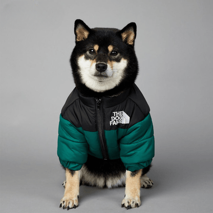 Winter Dog Jacket