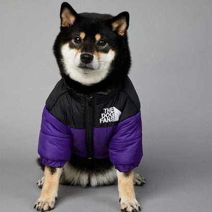 Purple Winter Dog Jacket showing its secure underbelly strap configuration on a small dog.