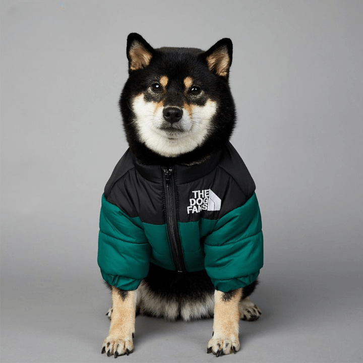 cold weather dog apparel