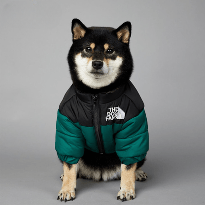 cold weather dog apparel