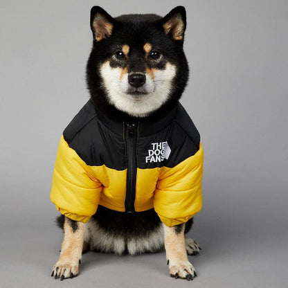 insulated puppy winter vest