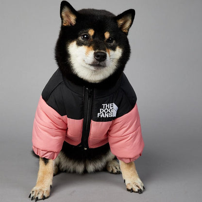 Front view of a pink water-resistant pet coat highlighting the reflective safety piping lines.