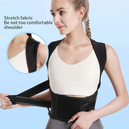 Back Posture Corrector Belt – Posture Universe