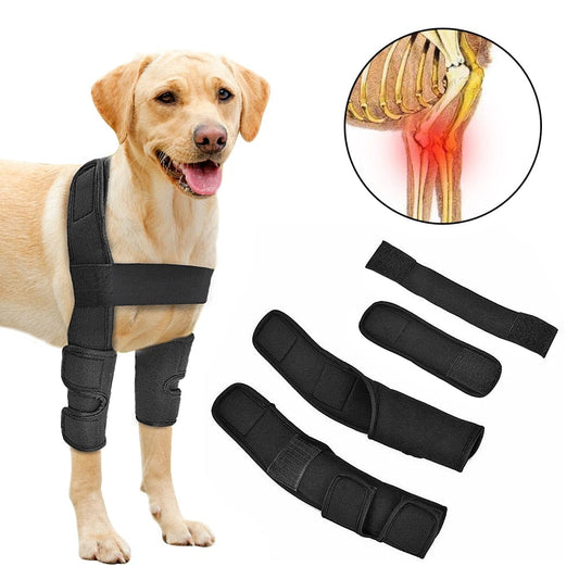 Black dog front leg splint featuring adjustable compression straps and heavy-duty nylon.