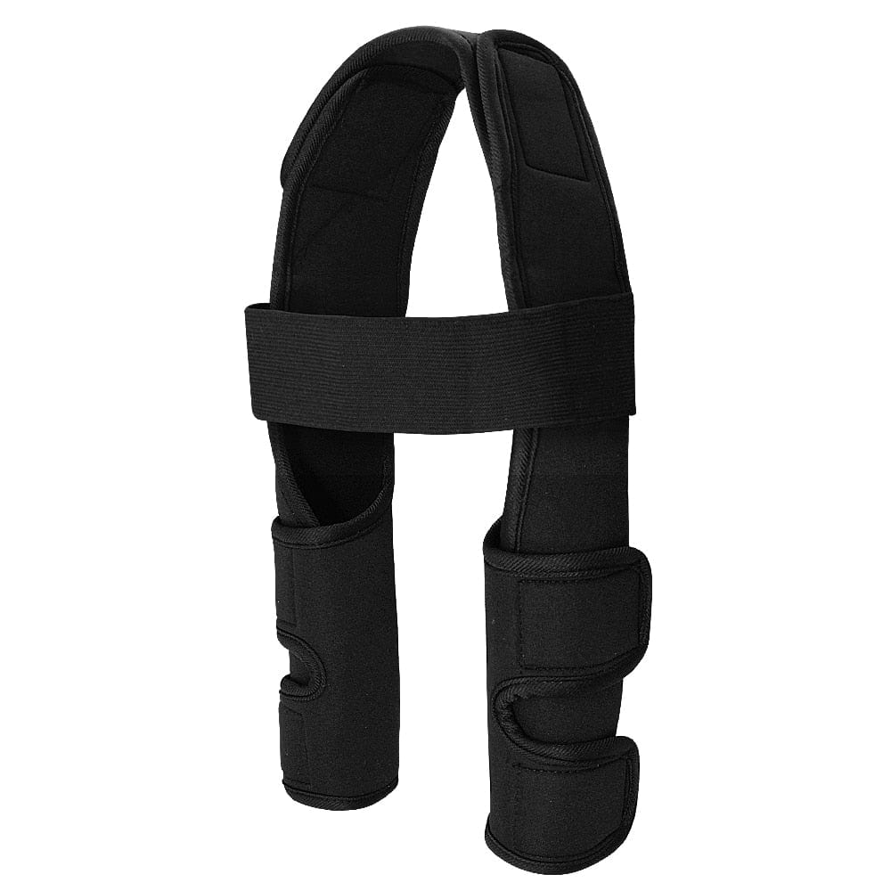 Close-up of the Dog arthritis leg support