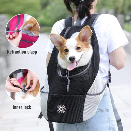An active pet owner wearing the ergonomic backpack carrier comfortably during an outdoor nature trail walk.