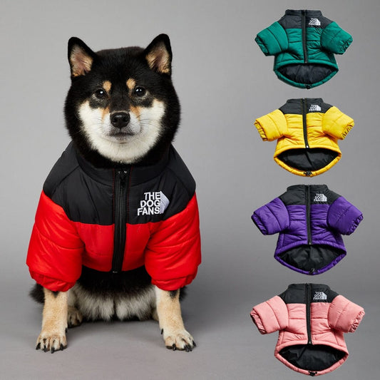 A collection layout showing the yellow, red, and green insulated puppy winter vests side-by-side.